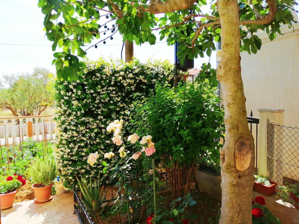 Sukošan Apartments Brkovic מראה חיצוני תמונה